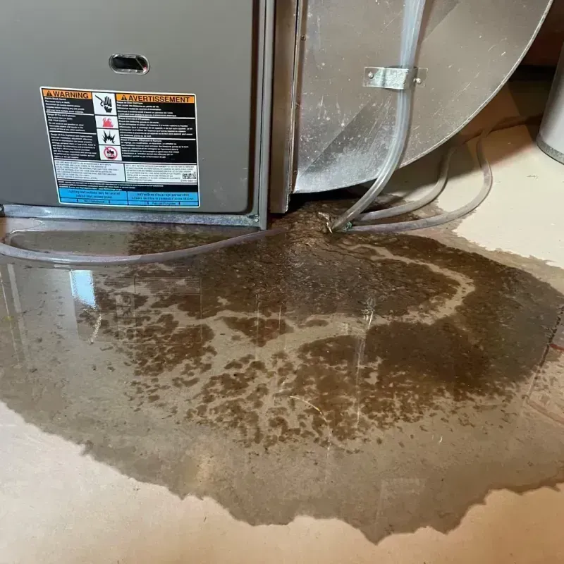 Appliance Leak Cleanup in Bellevue, KY